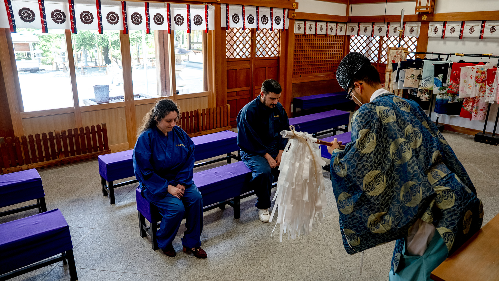 Make Your Own Hanging Fern Ball - A                Moment of Cool,                Japanese Elegance