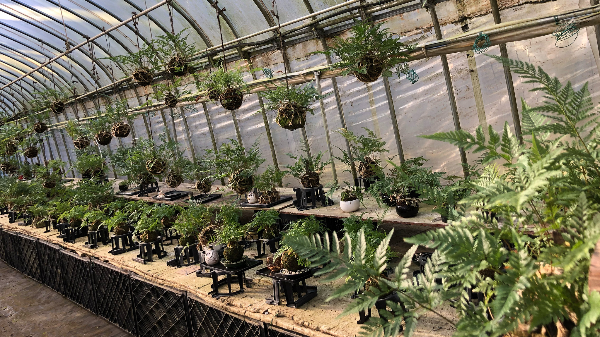 Make Your Own Lucky                Charm – A One-of-a-                Kind Good Fortune                Souvenir!